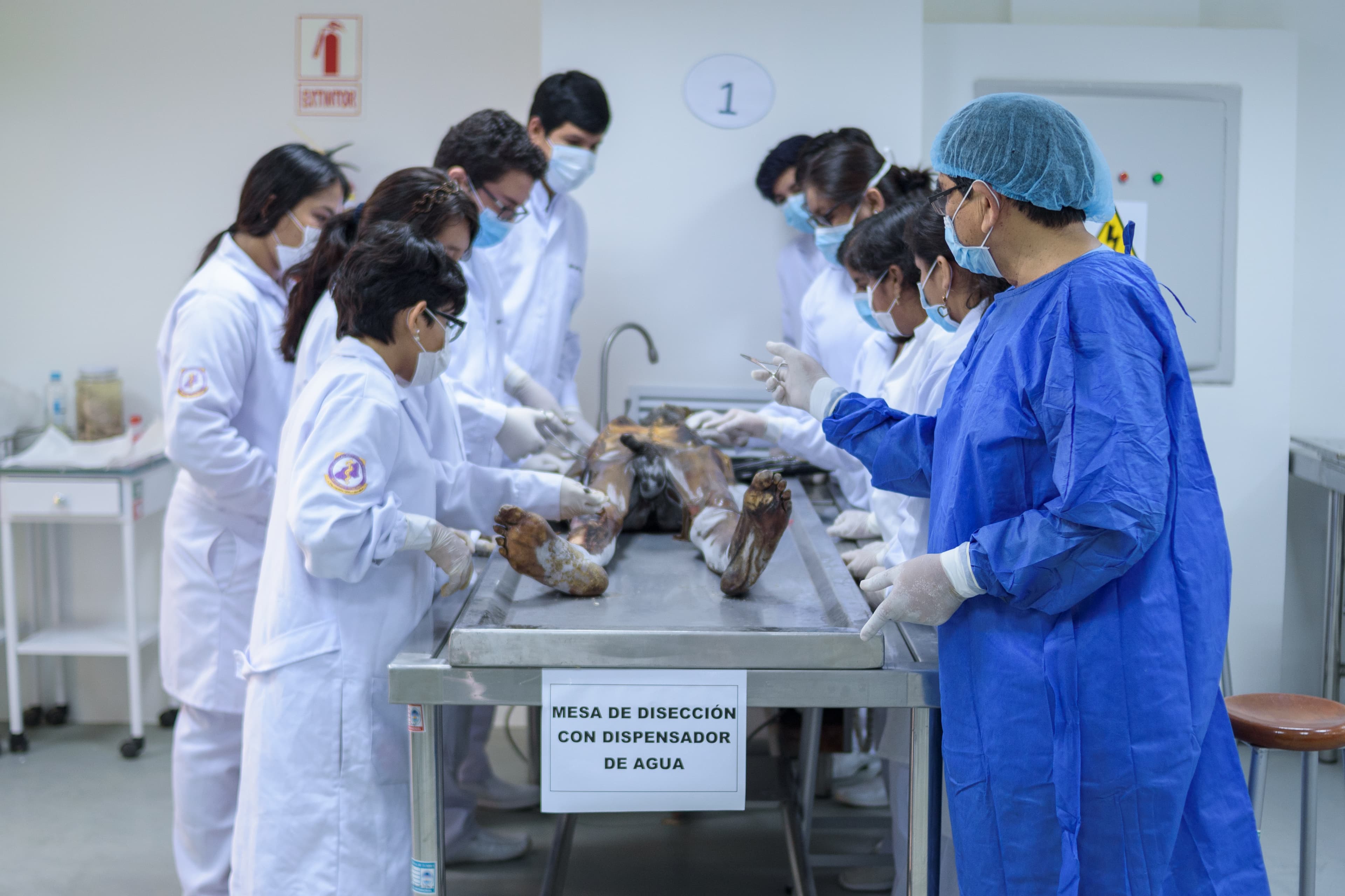 Inmersión Total en la Anatomía Humana